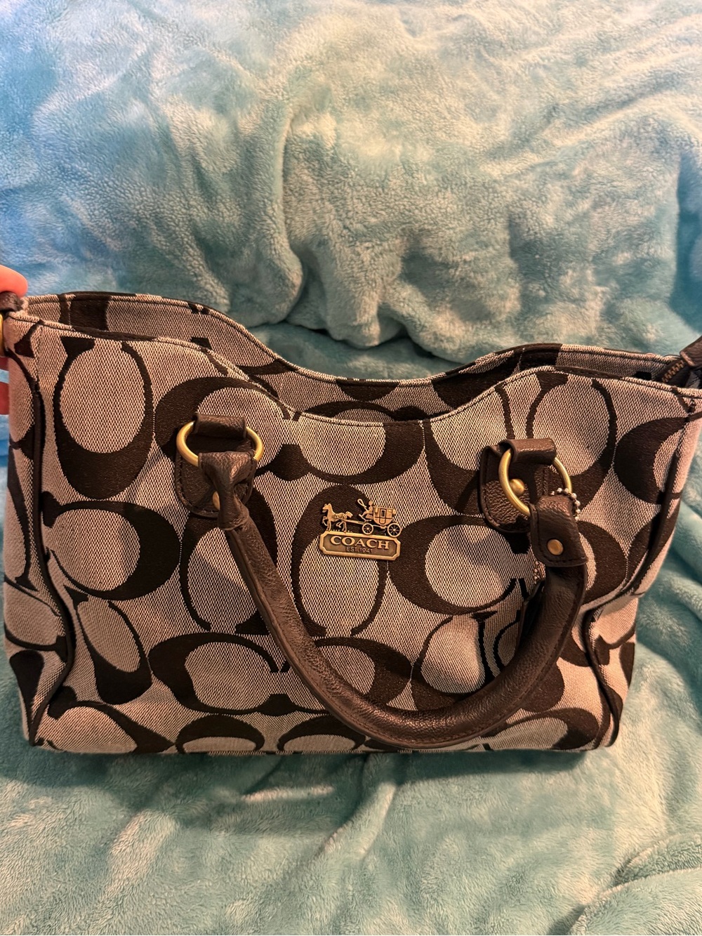 Coach Signature Canvas Tote in Beige and Brown